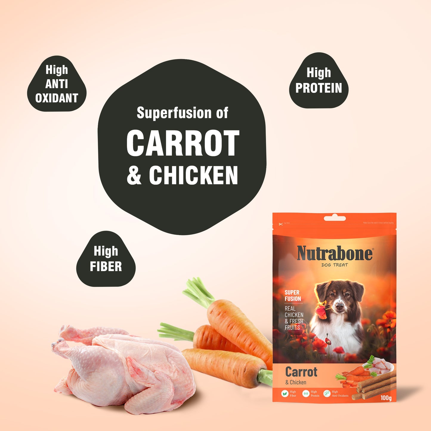 Nutrabone Carrots & Chicken Oats Dog Treat 100gm