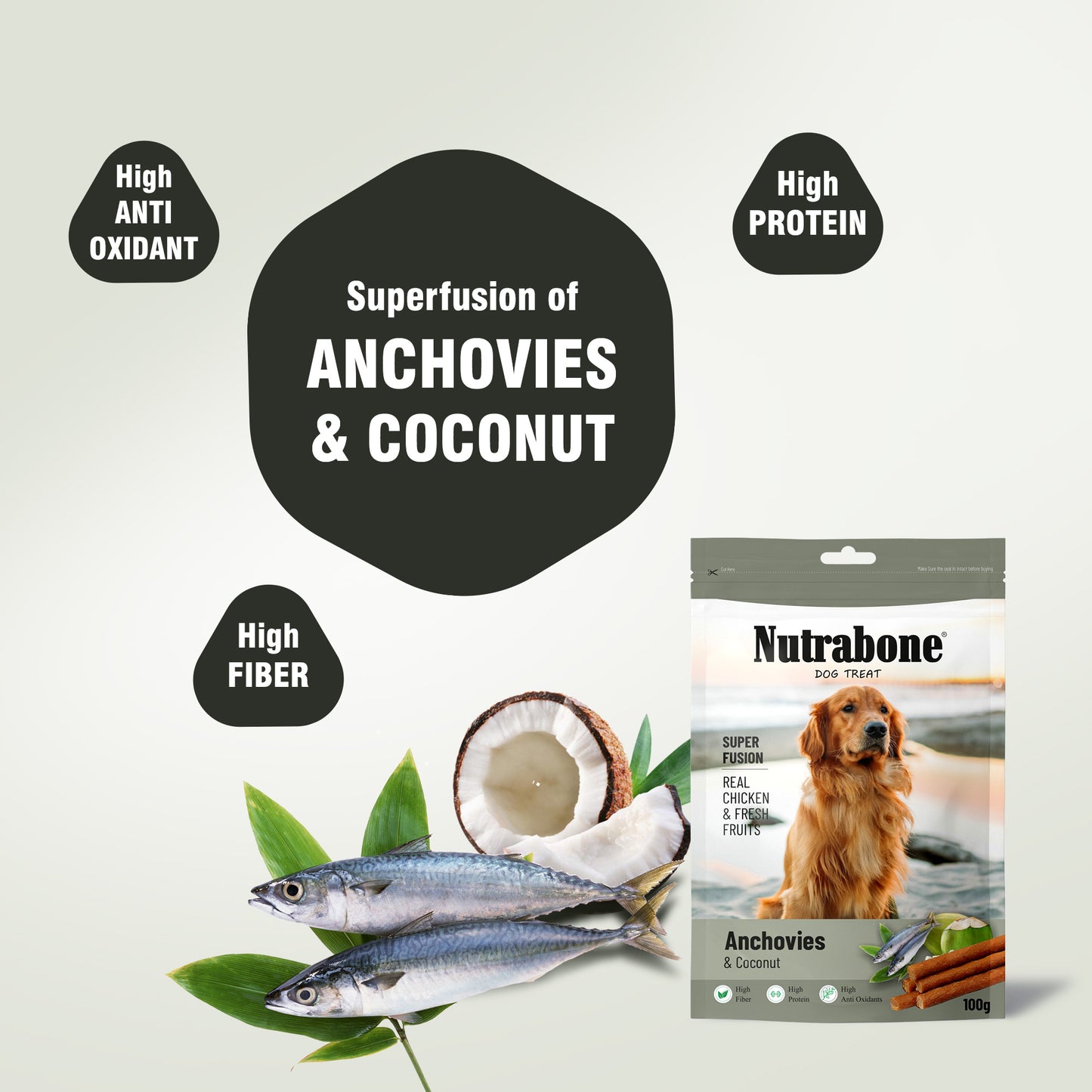 Nutrabone Anchovies & Coconut Dog Treat 100gm
