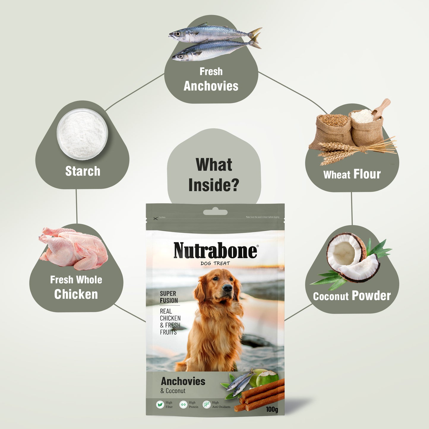 Nutrabone Anchovies & Coconut Dog Treat 100gm