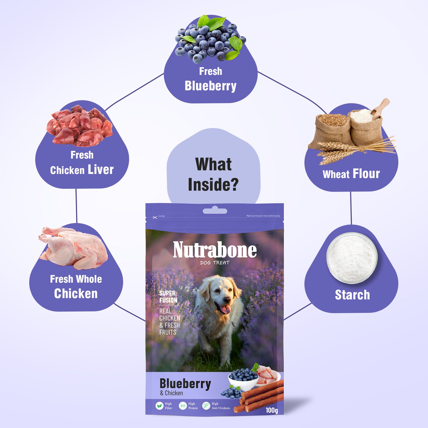 Nutrabone Blueberries & Chicken Dog Treat 100gm