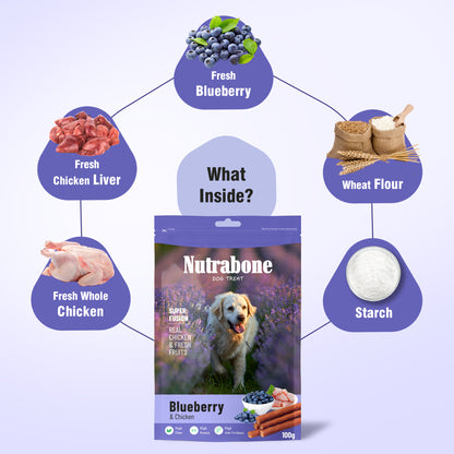 Nutrabone Blueberries & Chicken Dog Treat 100gm