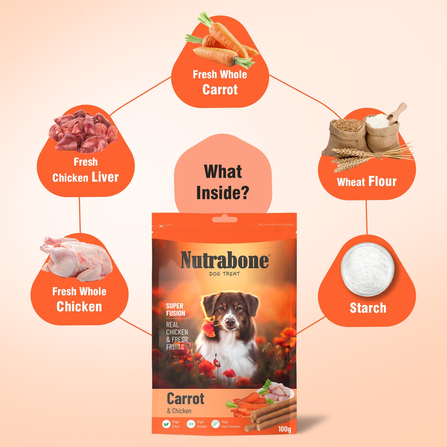 Nutrabone Carrots & Chicken Oats Dog Treat 100gm