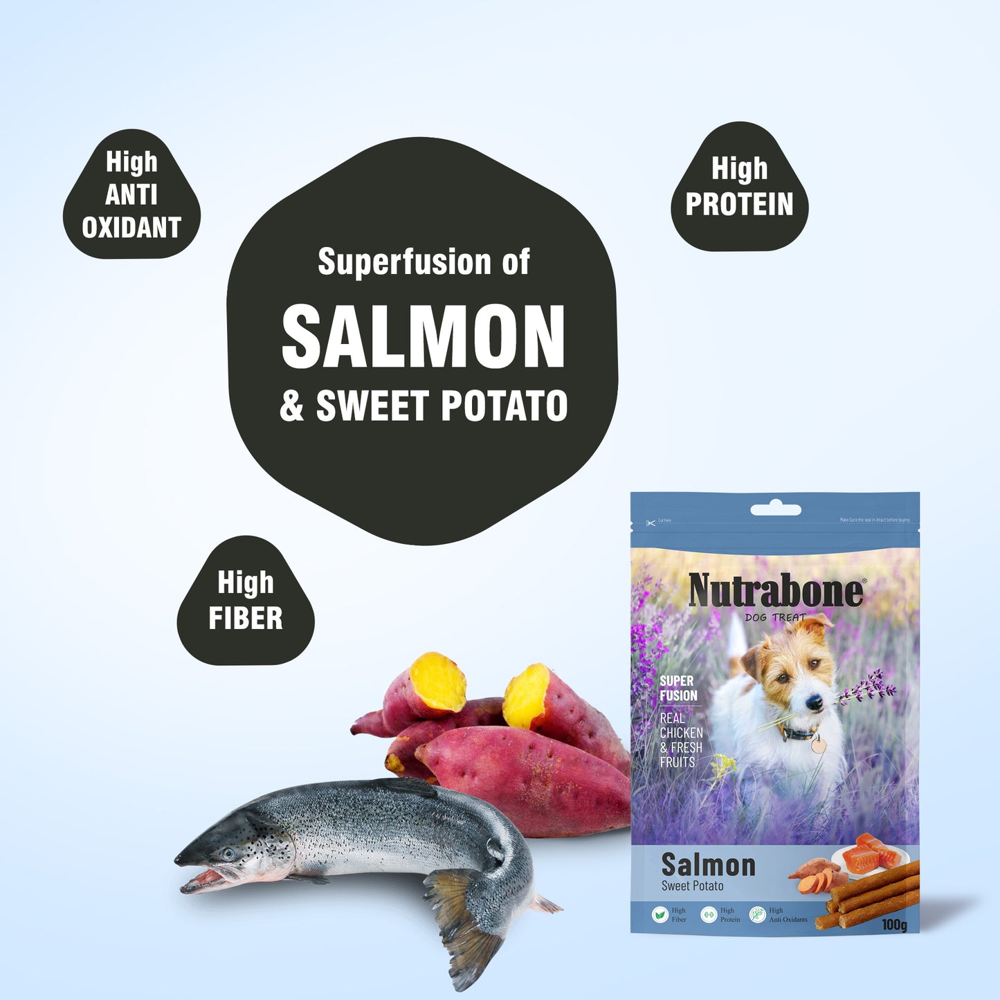 Nutrabone Salmon & Sweet Potato Dog Treat 100gm