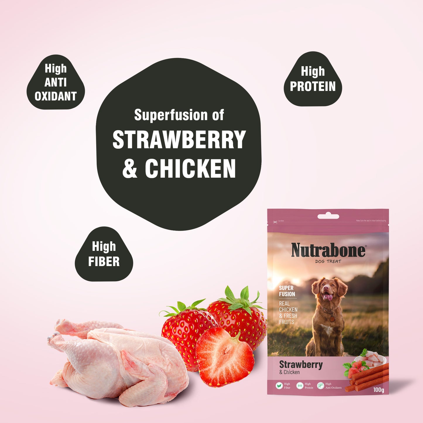 Nutrabone Strawberry & Chicken Dog Treat 100gm