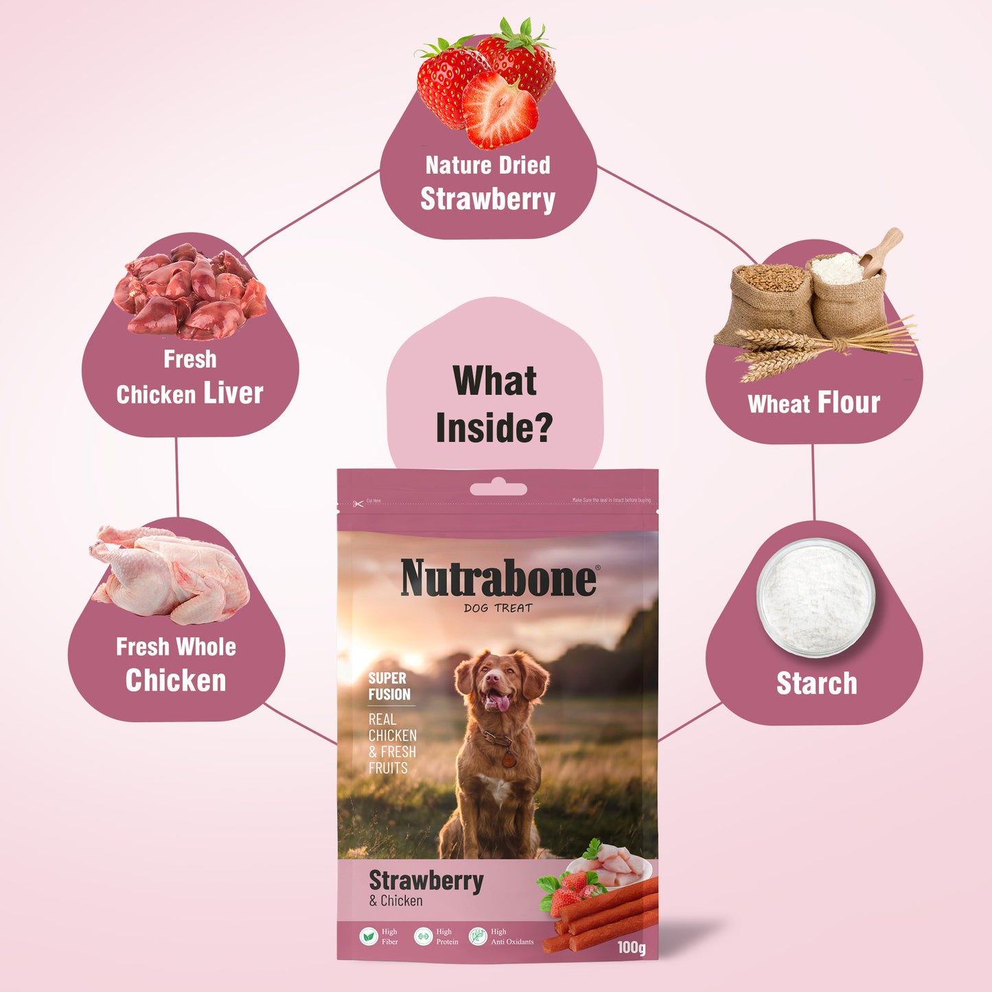 Nutrabone Strawberry & Chicken Dog Treat 100gm
